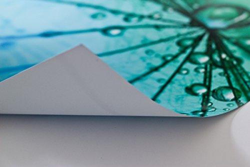 Poster-Bild 40 X 20 Cm: 