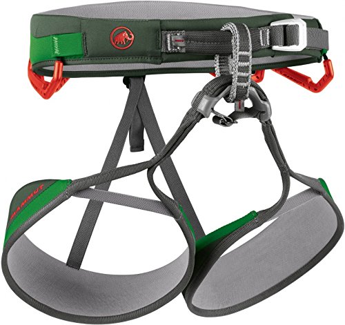 Mammut Erwachsene Klettergurt Togir Light, Dark Cypress-Dark Spring, M, 2110-00901-4397-112
