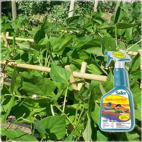 Safer Brand 5105 Yard and Garden Insect Killer, 32-Ounce Spray thumbnail