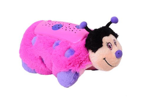 Hot Pink Lady Bug