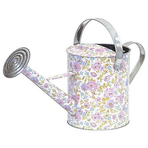 Verdemax 5954 5 Litre Apples Design Zinc Watering Can