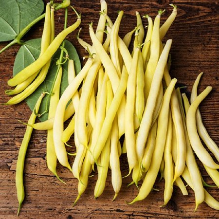 Eden Brothers Bean Seeds (Bush) - Golden Wax Non-GMO Seeds for Planting  1 Pound | High-Yielding  Low-Maintenance Vegetable Seeds  Plant During Warm S