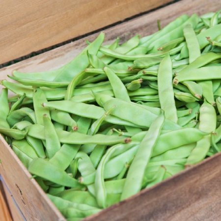 Eden Brothers Bean Seeds (Bush) - Roma II Non-GMO Seeds for Planting  1/4 Pound | High-Yielding  Low-Maintenance Vegetable Seeds  Plant During Warm Se