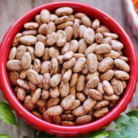 Bean Seeds (Bush) - Pinto - 1 Ounce - Vegetable Seeds  Heirloom Seed  Open Pollinated Seed Easy to Grow & Maintain  Container Garden