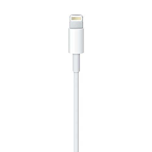 Apple Lightning to USB Cable 2M - 1.0 Ea