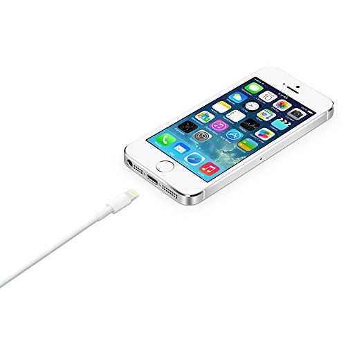 Apple Lightning to USB Cable 2M - 1.0 Ea