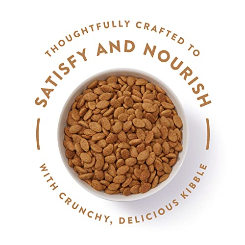 NUTRO ULTRA Adult High Protein Natural Dry Dog Food with a Trio of Proteins from Chicken, Lamb and Salmon, 15 Lb. Bag thumbnail