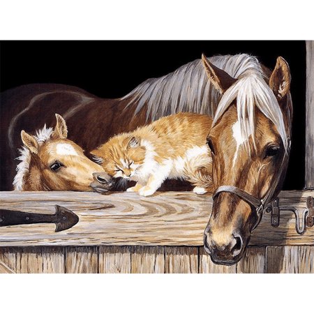 Prremiy Horse Oil Painting by Numbers DIY Hand Painted Craft Home Decor (WH-1253)