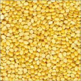 Laxmi Moong Dal (Split Mung Beans) 4Lbs