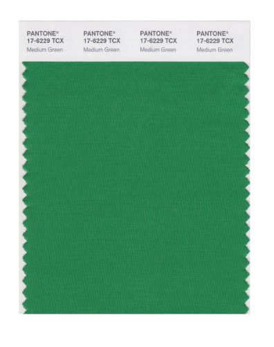 Pantone Cotton Swatch 17-6229 Medium Green