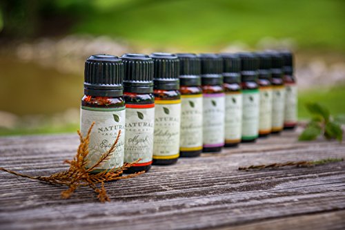 Sweet Orange Essential Oil - 100% Pure Therapeutic Grade Sweet Orange Oil by Natural Acres - 10ml thumbnail