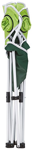 Coleman Resort Chair 2 Green 170-7681