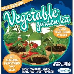 DuneCraft Outdoor Garden Kit Tomato, Bush Bean and Sweet Pepper