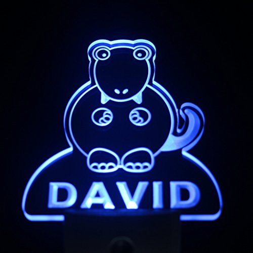 Ws1012-0255-b DWAYNE Tyrannosaurus Dinosaur Night Light Nursery Baby Kids Name Day/ Night Sensor LED Sign