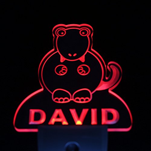 Ws1012-0255-b DWAYNE Tyrannosaurus Dinosaur Night Light Nursery Baby Kids Name Day/ Night Sensor LED Sign thumbnail