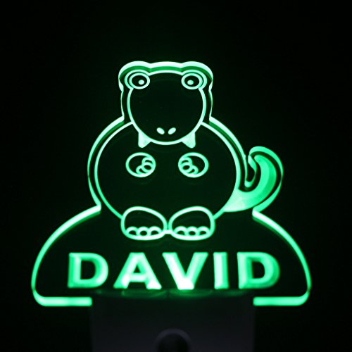 Ws1012-0255-b DWAYNE Tyrannosaurus Dinosaur Night Light Nursery Baby Kids Name Day/ Night Sensor LED Sign thumbnail