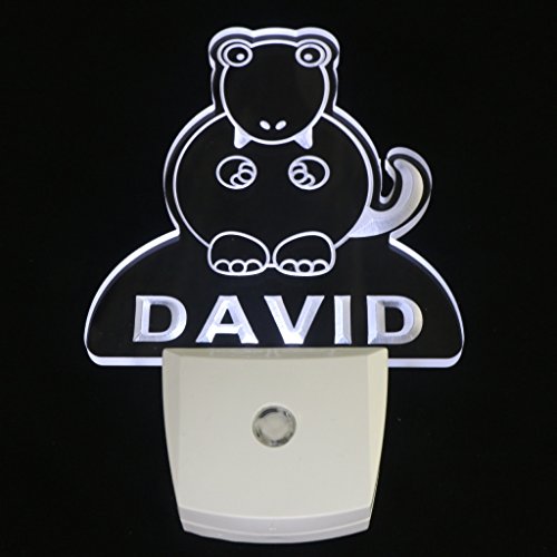 Ws1012-0255-b DWAYNE Tyrannosaurus Dinosaur Night Light Nursery Baby Kids Name Day/ Night Sensor LED Sign thumbnail