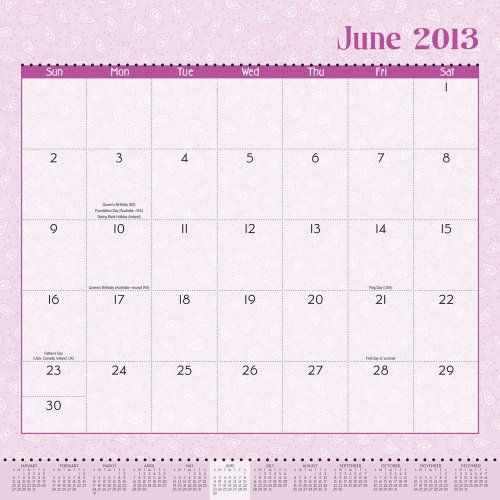 Mary Engelbreit's Moms Can Do Anything! Weekly 2013 Family Calendar thumbnail