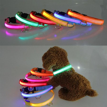 Monfince LED Dog Collar Lighted Glow Pet Collar Safety Waterproof USB Charging for Small Medium Dogs Adjustable Leash 52-59cm L
