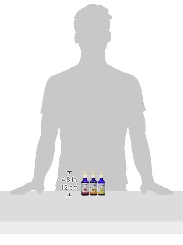 Water Enhancer-Honest H2O-from Stevia Select-2 Oz Water Flavoring-3 Pack Lemonade, Raspberry,Orange Passion-Lightly Sweetened Stevia Water Enhancer-Su
