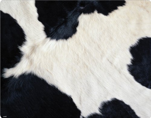 Skinit Protective Skin for Curve 8530 - Cow