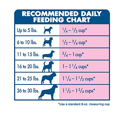Blue Buffalo Wilderness Grain Free High Protein Chicken Recipe Adult Small Breed Dry Dog Food - 22 Lb Bag (2 X 11 Lb Bag) thumbnail