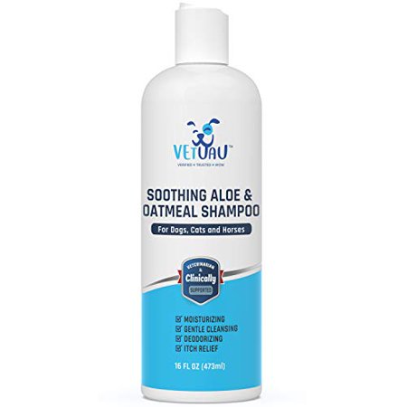 VetUAU Aloe Oatmeal Dog Shampoo - Horse  Cat and Dog Shampoo for Dry Itchy Skin  Moisturizing  Hypoallergenic Body Wash for Sensitive Skin