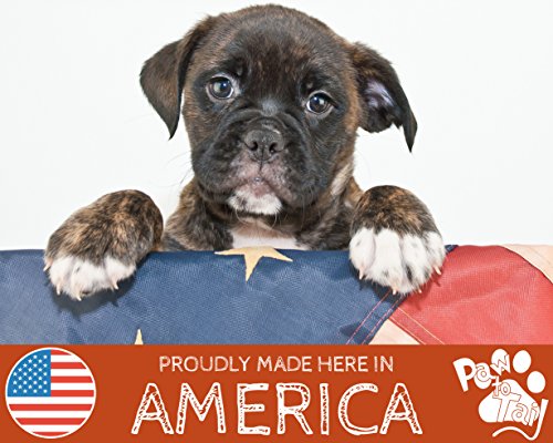 American Sweet Potato Dog Treats - Made in USA Only - 100% Natural Premium Ingredients - Gluten Free, No Fillers or Preservatives - Choose, Chicken, B thumbnail