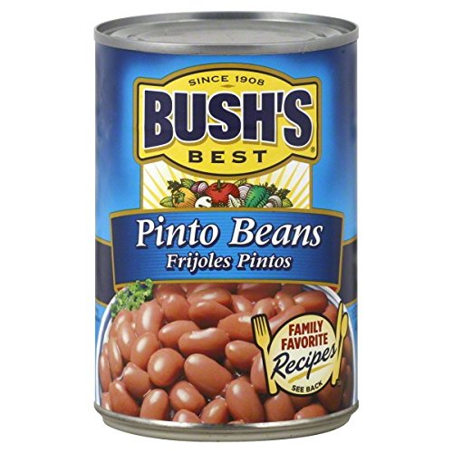 Bush's Best Beans Pinto 16 Oz