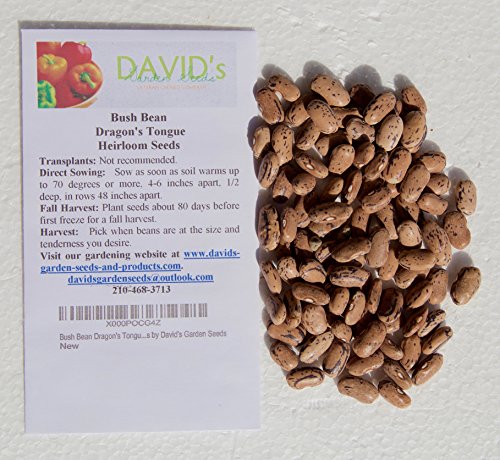 Bush Bean Dragon's Tongue D3175 (Purple) 100 Organic Heirloom Seeds by David's Garden Seeds