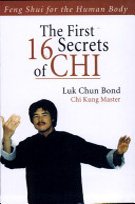 The First 16 Secrets of Chi