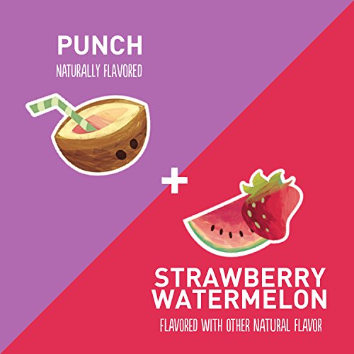 Yoplait Go-Gurt Variety Pack Punch/Strawberry Watermelon 16 Count