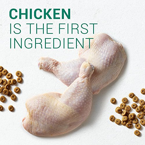 Blue Buffalo Wilderness Grain Free Chicken High Protein Recipe Senior Dry Dog Food - 48 Lb Bag (2 X 24 Lb Bag) thumbnail