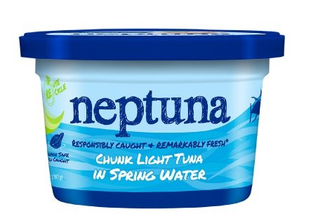 Chunk Light Tuna in Spring Water