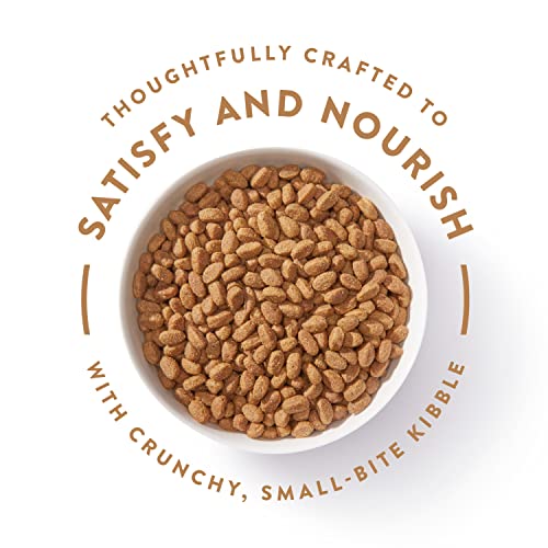 NUTRO ULTRA Adult Small Breed High Protein Natural Dry Dog Food with a Trio of Proteins from Chicken, Lamb and Salmon, 8 Lb. Bag thumbnail
