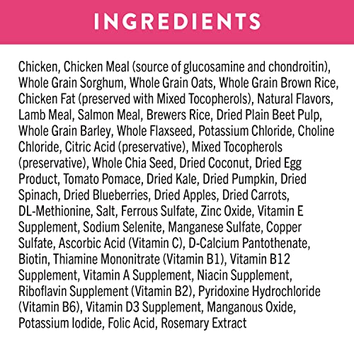 NUTRO ULTRA Adult Small Breed High Protein Natural Dry Dog Food with a Trio of Proteins from Chicken, Lamb and Salmon, 8 Lb. Bag thumbnail
