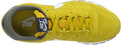 Nike Men's Air Pegasus 83 Ltr Drk Ctrn/Lt Bs Gry/Dk Pwtr/Mid Running Shoe 10 Men US