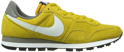Nike Men's Air Pegasus 83 Ltr Drk Ctrn/Lt Bs Gry/Dk Pwtr/Mid Running Shoe 10 Men US thumbnail