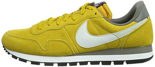 Nike Men's Air Pegasus 83 Ltr Drk Ctrn/Lt Bs Gry/Dk Pwtr/Mid Running Shoe 10 Men US thumbnail
