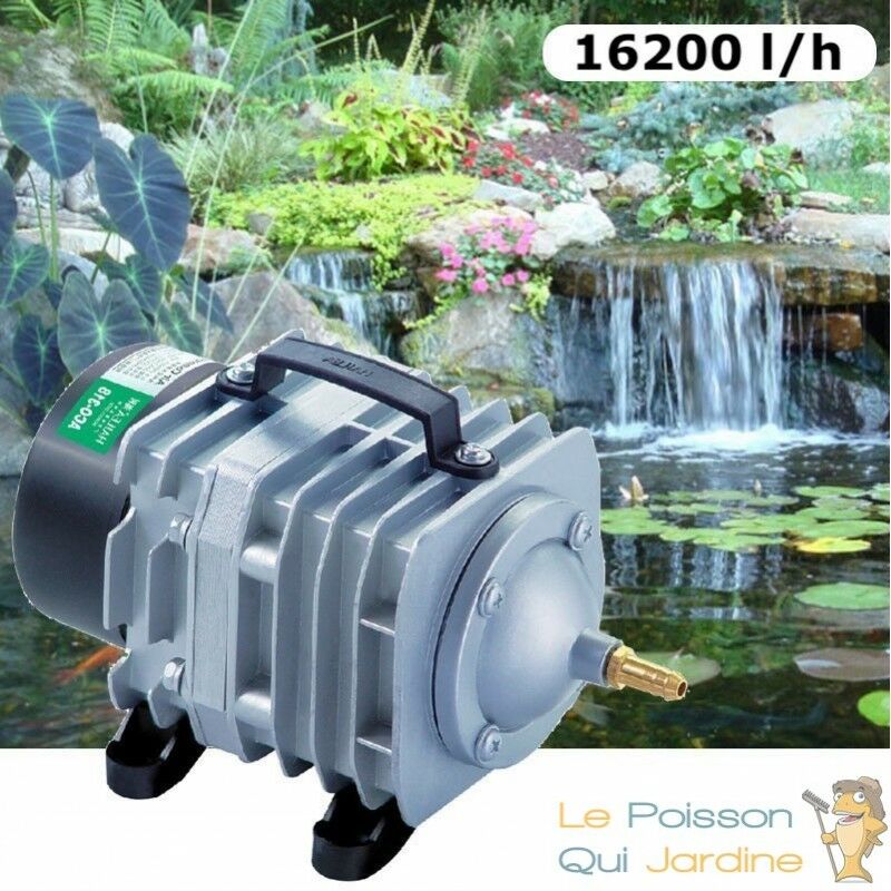 Compresseur - Pompe à Air 16500 L/h Pour Bassins De Jardin Et Étangs
