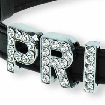 Dickens' Closet Create-a-Collar Crystal R 10mm Charm
