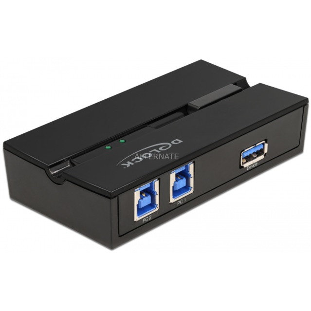DeLOCK 11495 Computer Data Switch