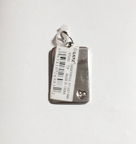 Caleb ~ Metal Personalized Name Tag Charm by Ganz ~ Rectangle ~ 1