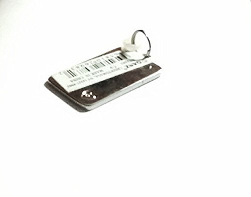 Caleb ~ Metal Personalized Name Tag Charm by Ganz ~ Rectangle ~ 1