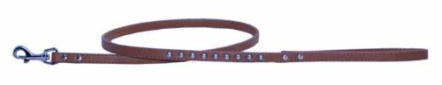 Stud Dog Leash Size: 0.5