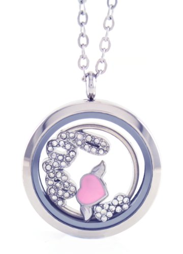 Stainless Steel Floating Locket Necklace with Choice of 4 Charms, 1 Plate, and Matching Chain (Silver No Stone Circle)