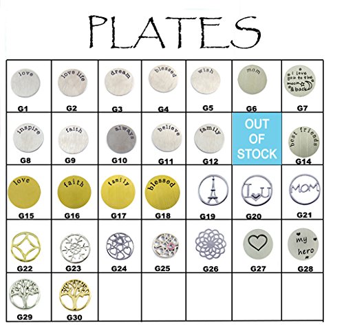 Stainless Steel Floating Locket Necklace with Choice of 4 Charms, 1 Plate, and Matching Chain (Silver No Stone Circle) thumbnail