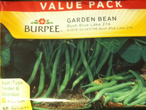 Burpee Garden Bean Bush Blue Lake - Value Pack