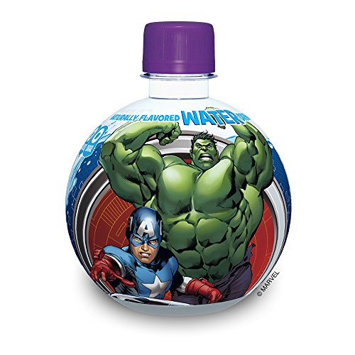 AquaBall Naturally Flavored Water, Grape, 12-Ounce (Pack of 12) thumbnail