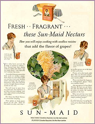 WONDERFUL FULL-COLOR 1927 SUN-MAID SEEDLESS NECTARS AD Original Paper Ephemera Authentic Vintage Print Magazine Ad / Article